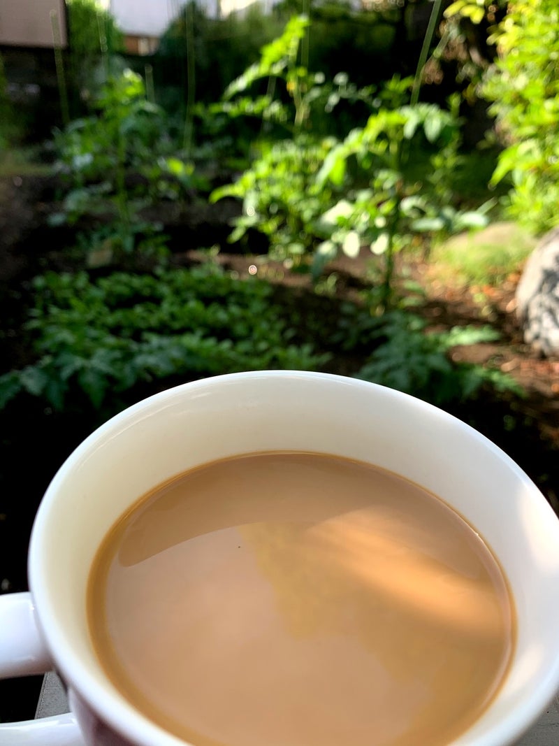 スマート家庭菜園 魅力とは