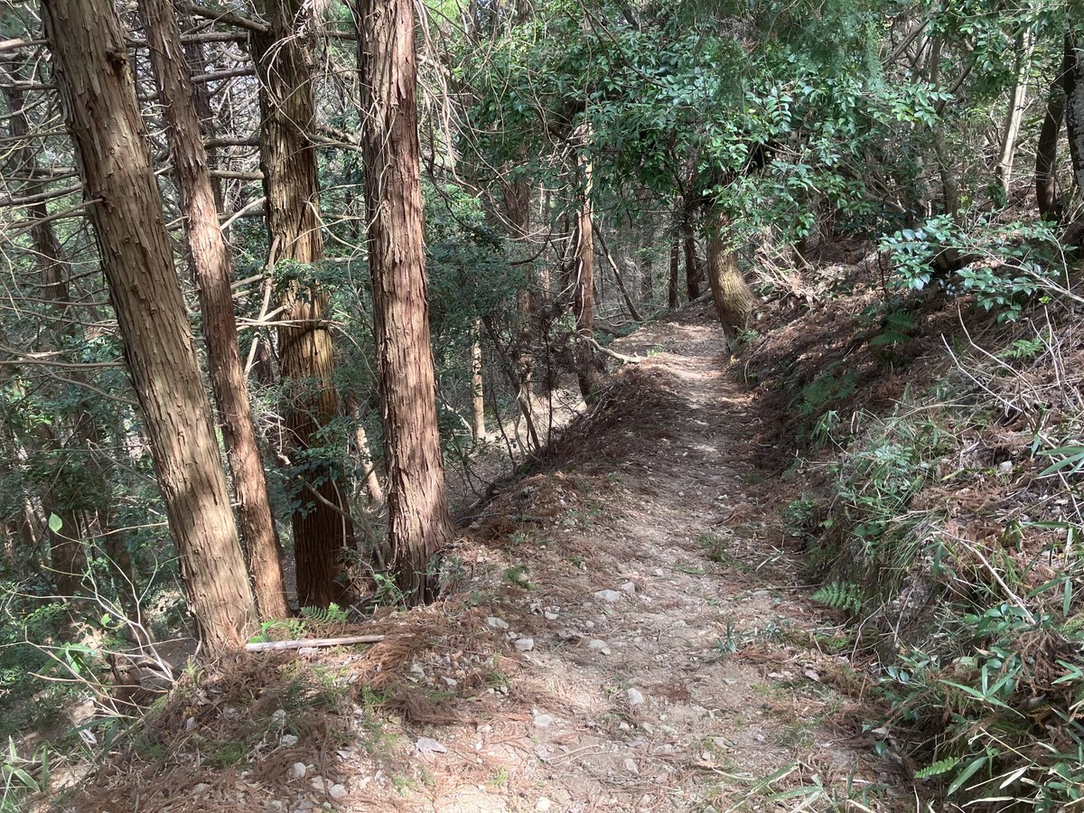 自然散歩 必要なものリスト