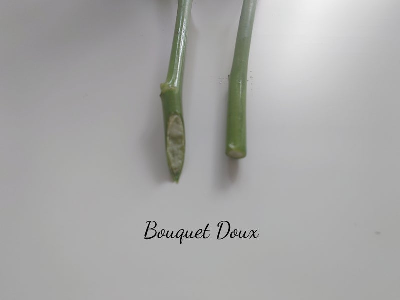 フラワーアレンジ 魅力とは