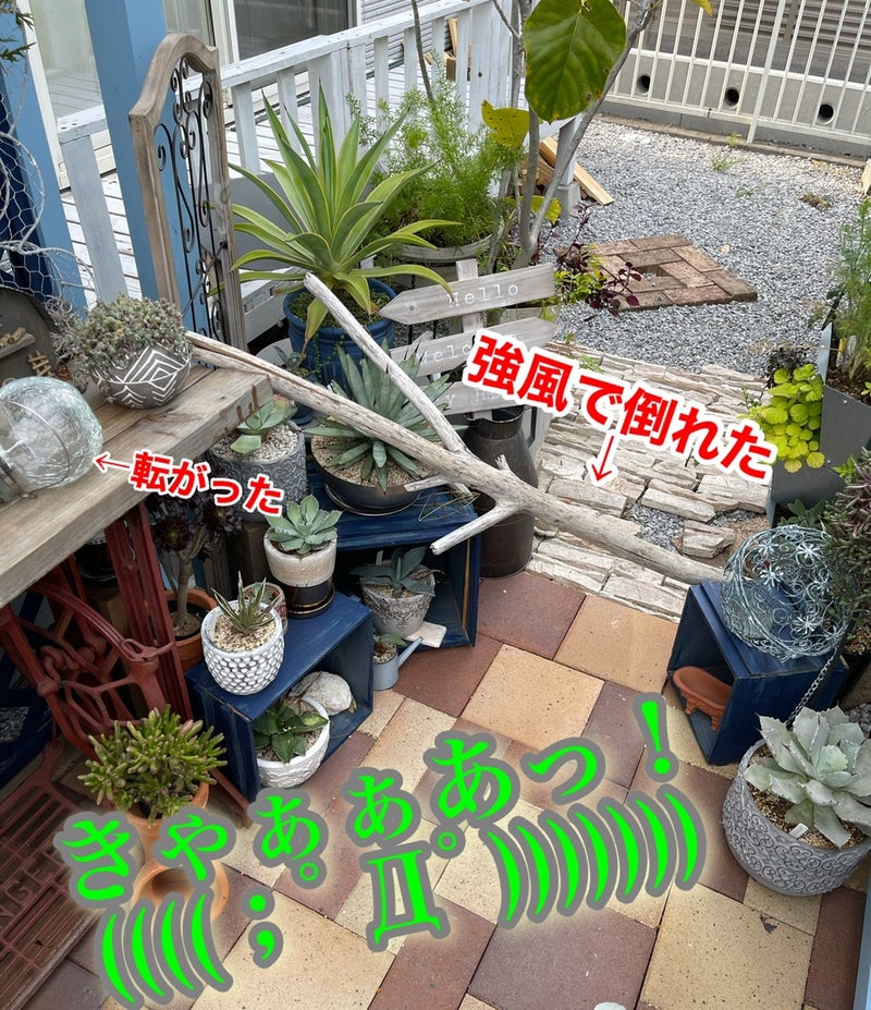 ハーブ園芸 必要なものリスト