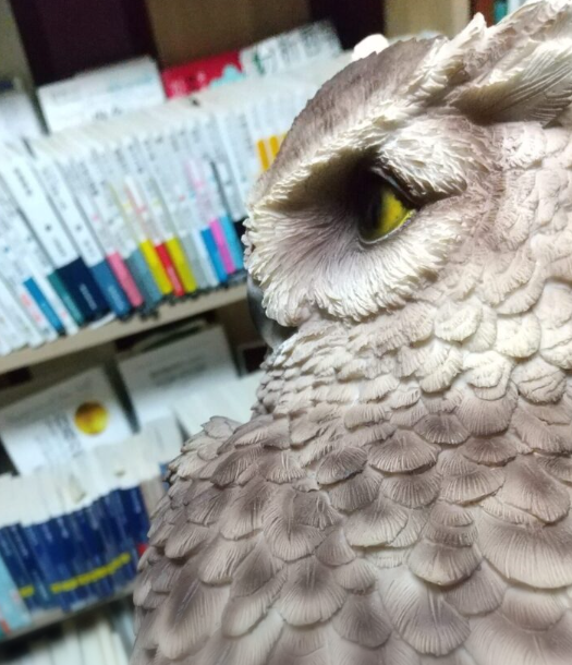 読書日記 最初の一歩