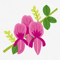 ラジオ体操 必要なものリスト