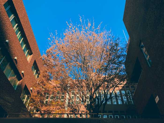 スマホ写真部 必要なものリスト