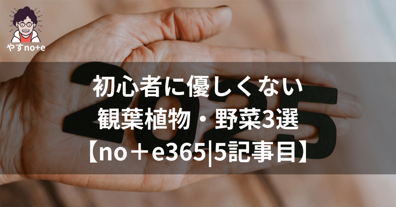 観葉植物 最初の一歩