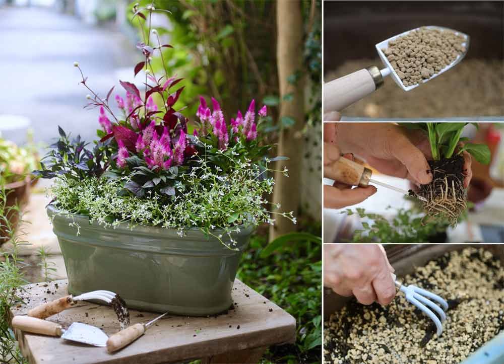寄せ植えデビューに必要な道具一覧｜初心者におすすめの商品まとめ
