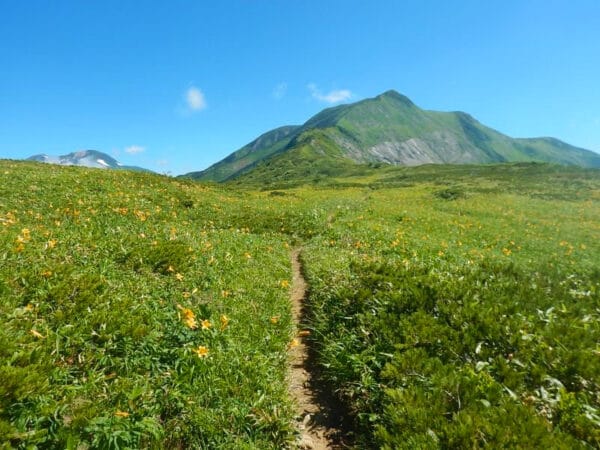 プチ登山 最初の一歩