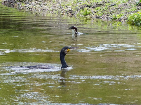 リサイクルアート 必要なものリスト