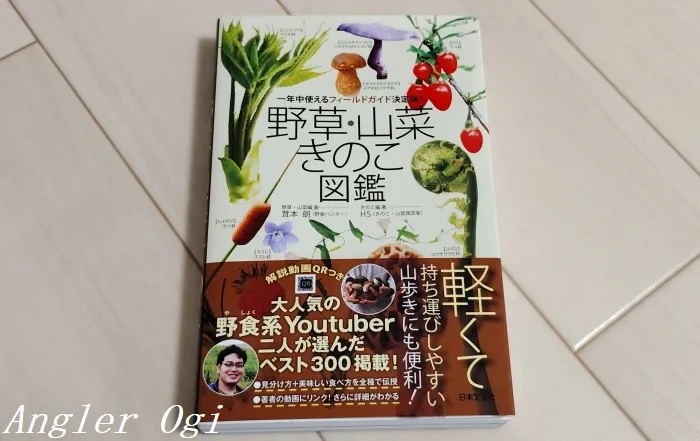 野草採集 必要なものリスト