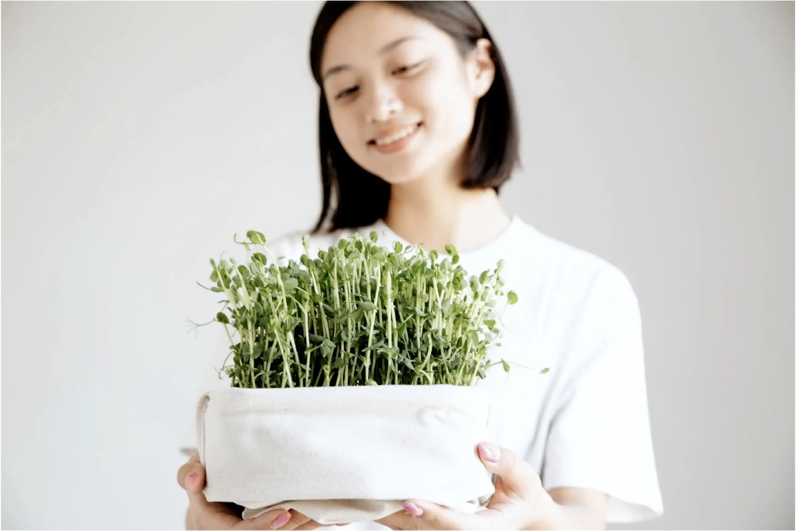 マイクロファームガーデニング 必要なものリスト