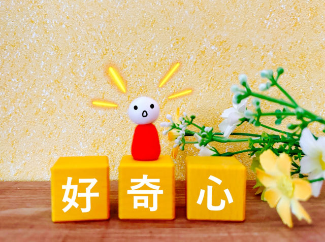 ガーデニング初心者ガイド｜コスパ最高の道具選びと始め方のコツ