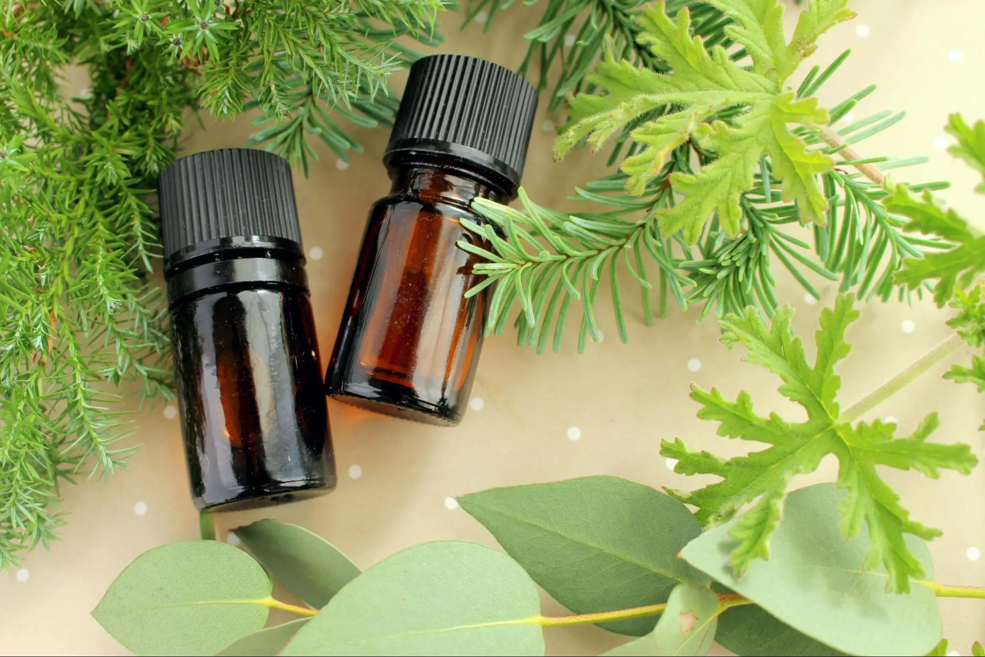 香りアロマ 最初の一歩