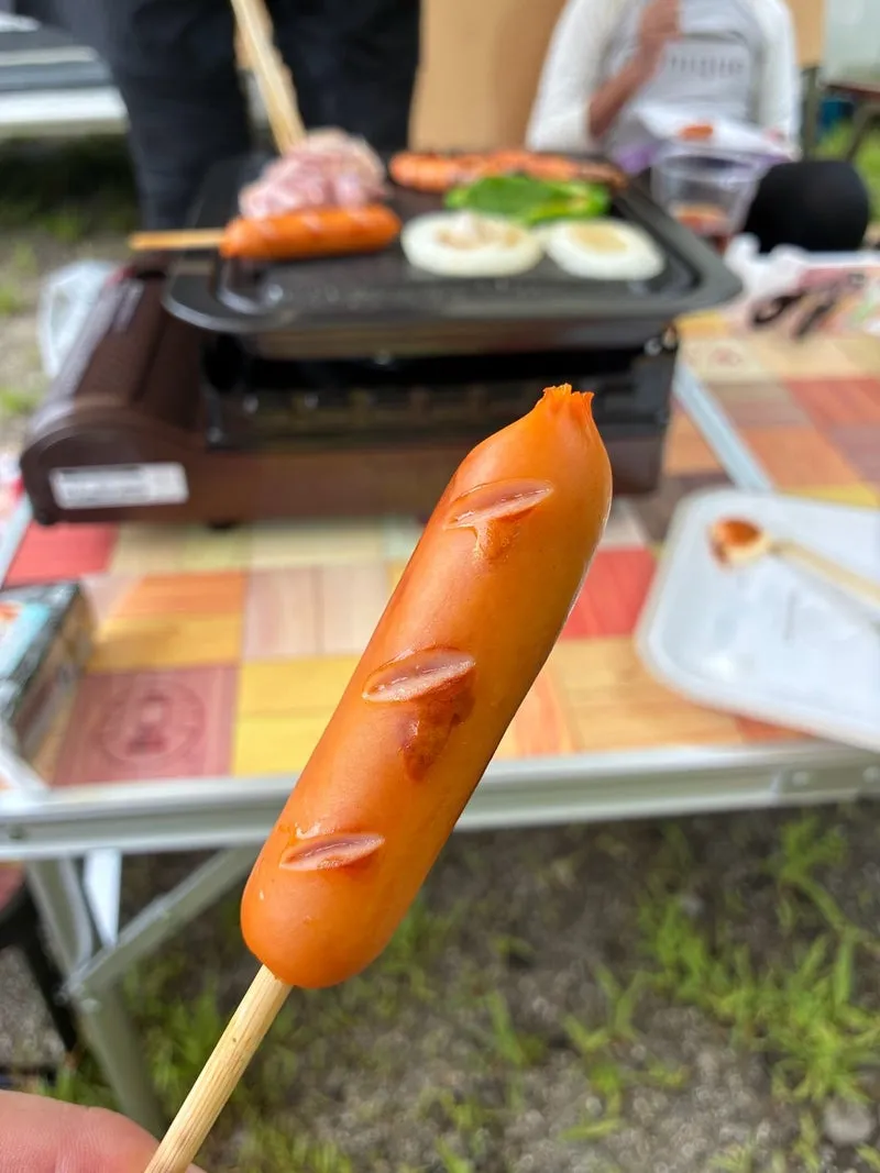 川遊び 魅力とは