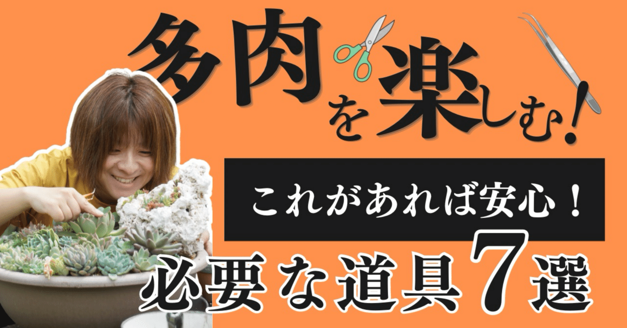 DIY多肉植物デビューの完全マニュアル｜必要な道具から始め方まで