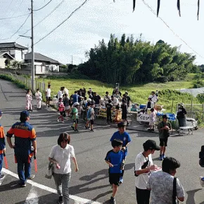 散歩写真 魅力とは
