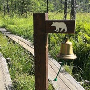 園芸療法 魅力とは