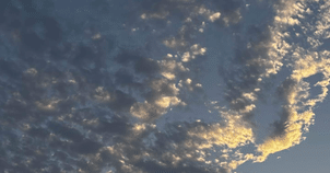 カードコレクト 魅力とは