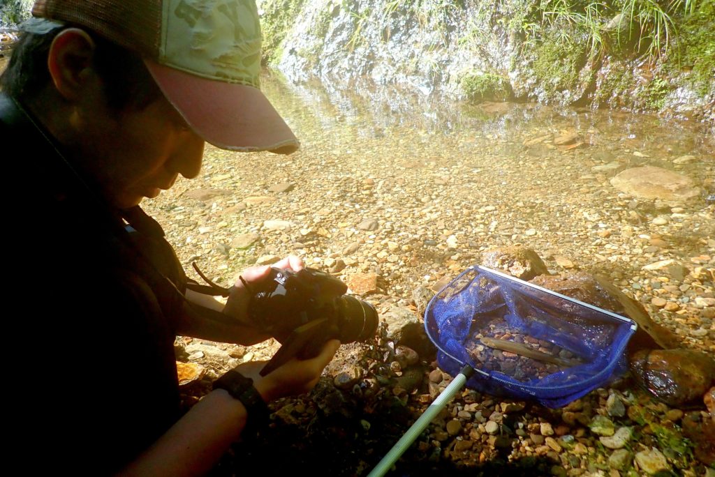 飼育ブログ 必要なものリスト