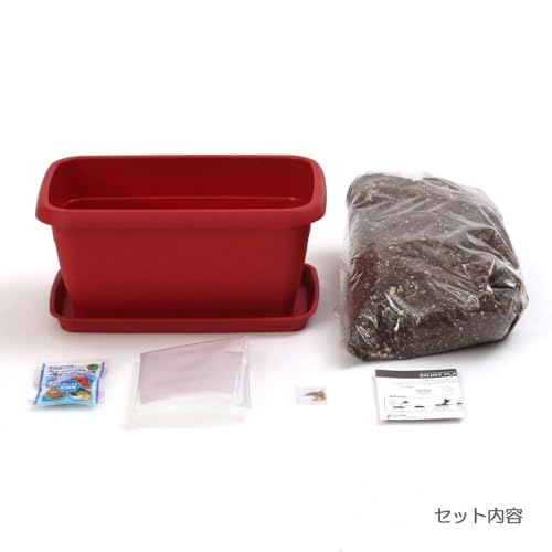 オーガニックガーデニング 必要なものリスト